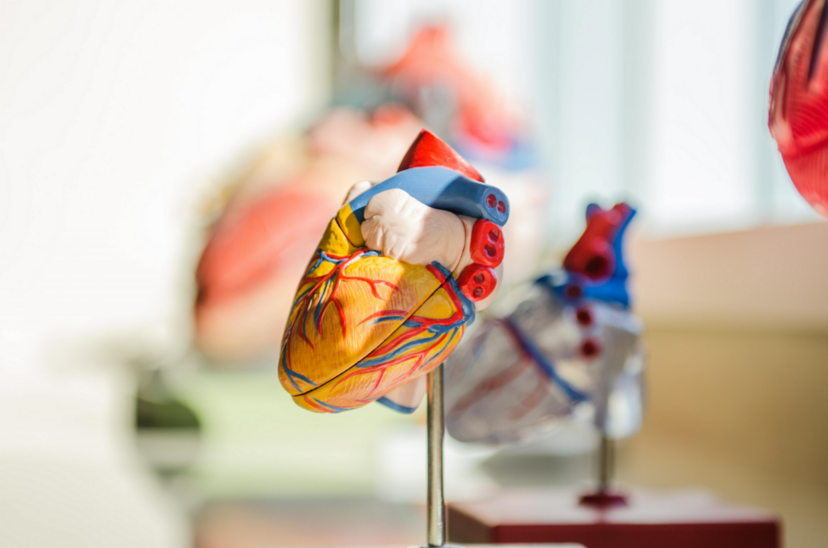 Advanced cardiac life support
